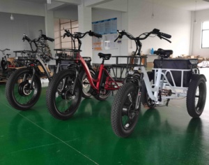 จักรยานสามล้อไฟฟ้า 48V1000W สำหรับผู้ใหญ่ - Product Image 2