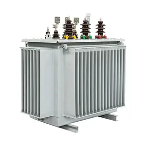Precio del transformador de potencia 250kva 22/0.4kv Transformador de distribución eléctrica S11 Transformador inmerso en aceite de 3 fases