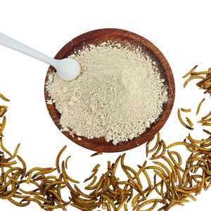 栄養補助食品用脱脂黄ミールワームタンパク質粉末 - Product Image 2