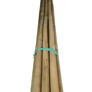 Estacas cortas de bambú para jardín para plantas de vivero y verduras trepadoras, producto ecológico hecho de materias primas - Product Image 5