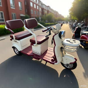 รถสามล้อไฟฟ้าแบบเปิด 3 ที่นั่ง ยี่ห้อ Holladay กำลังไฟ 500 วัตต์ ระยะทางวิ่ง 40 กม. สำหรับผู้สูงอายุ พร้อมเบรกแบบดรัมและโช้คไฮดรอลิก - Product Image 2