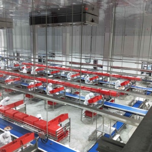 Sistema Automatico di Produzione e Riempimento Polveri Personalizzabile, Linea di Produzione con Nastro Trasportatore Automatico - Product Image 1