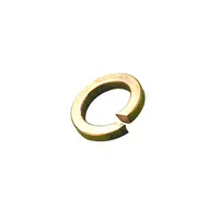 Adjustable Spring Brass Washers in India