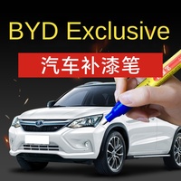 Stylo de retouche de peinture pour voiture BYD 11 pièces pour modèles Song Yuan, Song MAX, Song Speedy, G5, Qin DM-i, Denza (Chine)