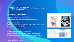 Scanner AI per la Salute con Analisi Quantistica e Programma di Analisi dei Meridiani della Medicina Tradizionale Cinese Integrato - Product Image 4