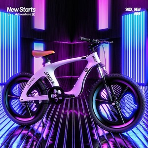 Bicicletta da montagna per bambini in lega di magnesio tedesca Little Explorer Legends 300 20 pollici telaio rigido ultraleggero doppio disco - Product Image 4