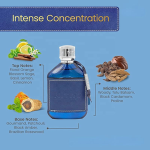 Parfum Nitro Blue Pour Homme de haute qualité, origine arabe, essence de parfum, vaporisateur 100 ml, Cologne, parfum, parfum longue durée - Product Image 5