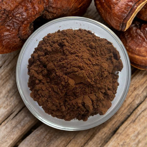 Пищевой натуральный порошок спор гриба Рейши - Product Image 5