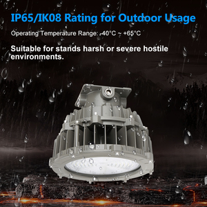 UL 20kV Surge-Resistant 200W <b>Explosion</b>-Proof LED Light | IP65 Rated with 5-Year Warranty - Product Image 5