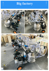 Máy Vắt Sữ<span class=keywords><strong>a</strong></span> Bò Chạy Điện Diesel Cầm Tay Máy Vắt Sữ<span class=keywords><strong>a</strong></span> Bò Xăng Tự Động Thụy Điển - Product Image 5