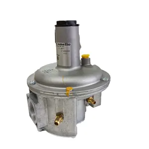 Régulateurs de pression de <span class=keywords><strong>gaz</strong></span> Giuliani FG1B15 d'Italie, vanne de réduction de pression d'air réglable pour brûleur industriel - Product Image 1