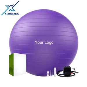 Eco Friendly Oem Custom Logo Printed Non Slip Not Burst Pvc 65cm Yoga Ball