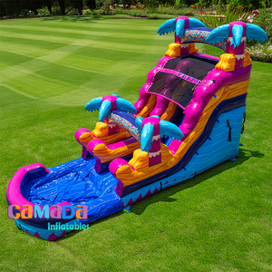 <span class=keywords><strong>2025</strong></span> Thiết Kế Mới Đá Cẩm Thạch Đầy Màu Sắc <span class=keywords><strong>Inflatable</strong></span> Trượt Nước Nhiệt đới Cây Cọ Thương Mại Cho Thuê Mùa Hè Trò Chơi Dưới Nước Cho Cậu Bé Và Cô Gái - Product Image 1