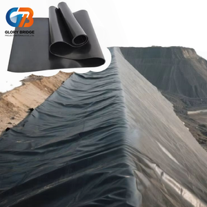Géotextile HDPE - Bâche imperméable, adaptée à une utilisation en extérieur, pour les barrages, les fermes piscicoles, les lacs artificiels, avec une garantie de 5 ans - Product Image 3
