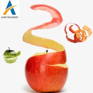 Wholesale Apple Peeling Pitting Machine Fruit Pear Kiwi Peeler Processing Equipment Peach Core Remover Machine