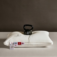 Oreiller de massage en duvet blanc et plumes d'oie, certifié ISO9001, le plus populaire, avec support personnalisé en coton et garnissage doux