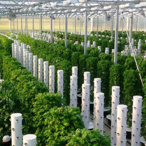 Système d'agriculture verticale de jardinage hydroponique avec pompe à eau de 50 W et réservoir d'eau de 100 L Ananas pour les herbes et les légumes-feuilles - Product Image 5