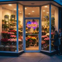 Luz ambiental LED de neón colgante para ventana con color ajustable; Luz decorativa para escaparates de bares, restaurantes y tiendas minoristas, 5V