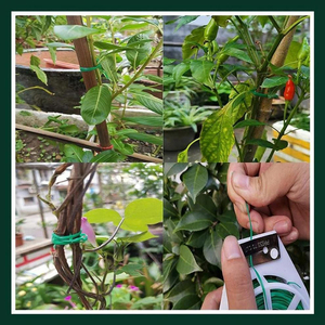 Attaches de jardinage multi-usages en métal OEM/ODM avec coupe-câbles intégré pour plantes vertes - Product Image 3
