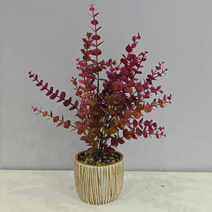 Petits bouquets faits à la main de feuilles d'<span class=keywords><strong>eucalyptus</strong></span> douces, 30 cm, fleurs artificielles décoratives modernes pour la maison, mariage, Noël, remise de diplôme - Product Image 5