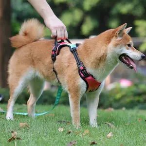 Toptan moda hiçbir çekme köpek koşum ayarlanabilir yansıtıcı ışık led yanıp sönen köpek koşum lüks tasarımcı