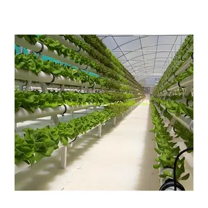 Soilless Cultivation Vegetable Hydroponic Elevated Planting Frame Factory Wholesale Strawberry Cultivation Hydroponic Planting