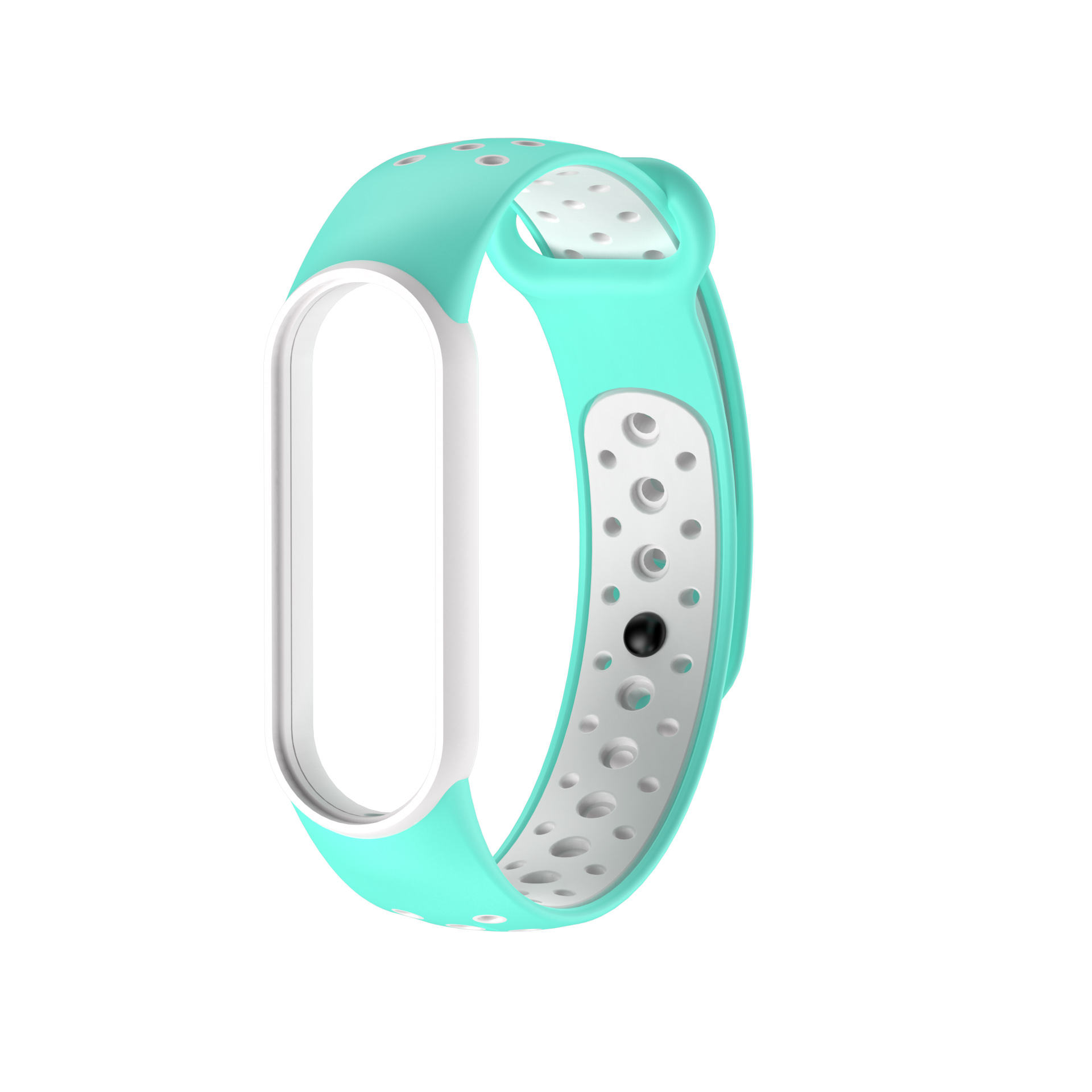 สีเขียวมิ้นท์