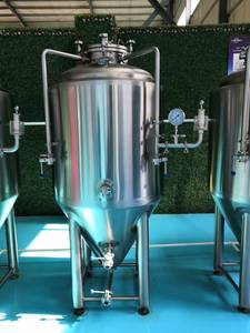 Tanque de Fermentación Cónico Tonsen de 5bbl, 10bbl, 20bbl con Puerta Lateral para Fermentación de Cerveza - Product Image 4