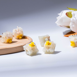 Gateron Giao Hàng Nhanh KS-3 X1 Sữa Vàng Pro Tuyến Tính 5 Pin Trong Hộp Quà Tặng 35Pcs Chơi Game Bàn Phím Cơ Khí Chuyển Đổi - Product Image 5