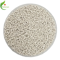 Granules en plastique de résine PEEK de qualité médicale de haute qualité Matériau de service dentaire de qualité supérieure avec des caractéristiques de haute résistance