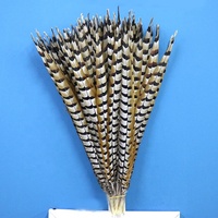 Vente directe d'usine Reeves plumes de faisan grand 35-40CM carnaval casque artisanat motif brut Table déco Costume