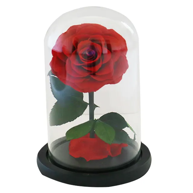 beauty and the beast rose in glass dome with led real preserved eternal forever rose flower every love valentines gift