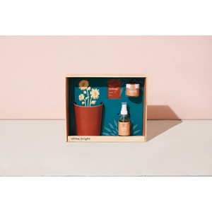 Shine Bright-Kit de positivité radieuse pour kit de méditation consciente Kit de culture de bambou tournesol pour cadeau coopératif - Product Image 5