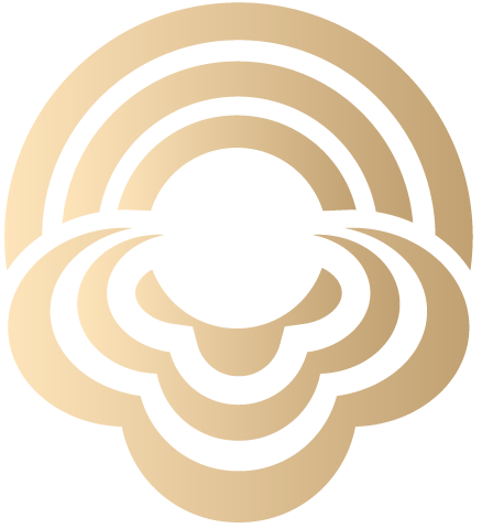 Shenzhen Ruqinba Chemical Materials Co., Ltd. logo