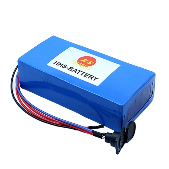 Custom Battery Packs 48 Volt Lithium Ion Battery 13s4p Battery Pack for E-bike Small Frog