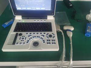 Dokter Hewan Laptop Ultrasound Doppler medis Sonar ecardiografi warna untuk Obstetri ginekologi Diagnosis anjing dapat digunakan kembali - Product Image 2