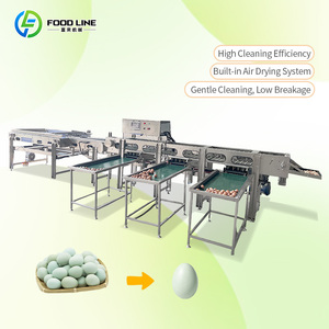 High Pressure Egg Cleaner No <strong>Damage</strong> Egg <strong>Washing</strong> <strong>Machine</strong> - Product Image 1