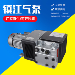 Pompe à vide sans huile Isge ZYBW80F 22 m³/h, hauteur de refoulement 80 m, en fonte et acier inoxydable, entraînement électrique - Product Image 3