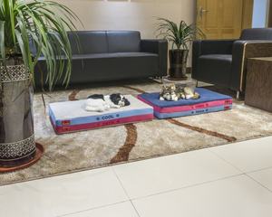 Upgrade Summer <span class=keywords><strong>Pet</strong></span> Cooling <span class=keywords><strong>Bed</strong></span> Mat Pad Neues Design Katzen-und Hunde kissen für pelzige Freunde - Product Image 3