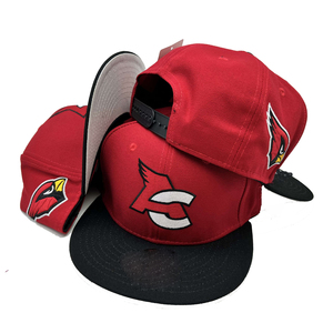 2508 Tùy Chỉnh Bán Buôn Unisex Thời Trang Hip Hop Ngoài Trời Snapbacks 3D Thêu Thể Thao 6 Bảng Điều Chỉnh Mang Nhãn Hiệu Người Đàn Ông Mũ - Product Image 6