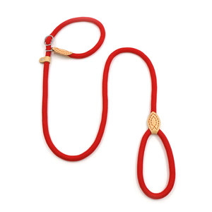 Laisse pour chien en nylon rouge avec détails en cuir, style simple et mains libres, pour chiens - Product Image 1