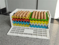 Plateau à œufs en plastique - Plateau à œufs empilable durable en plastique - Palette empilable pour le transport de volailles
