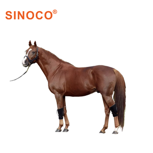Dernière conception d'équipement vétérinaire Ceinture de récupération de thérapie équine à lumière infrarouge <span class=keywords><strong>pour</strong></span> cheval anti-douleur - Product Image 2