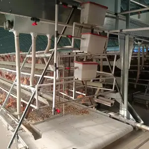 Otomatik gübre temizleme tavuk çiftlikleri katmanlı kanatlı tavuk kafesi