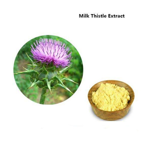 Muestra Gratuita de Extracto de Cardo Mariano 20% 40% 80% Silimarina, Extracto de Cardo Mariano para el Cuidado del Hígado - Product Image 4