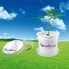 Florero-pot gadgets écologiques personnalisés - Product Image 1