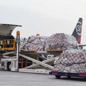 De la Chine à la Guyane Panama Suriname Costa Rica Expédition de fret à votre porte rapide DHL FEDEX UPS Expressage livrer des marchandises - Product Image 1