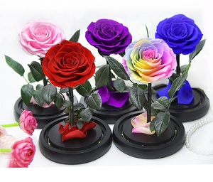Rosas de Cristal Eternas con Luz, <span class=keywords><strong>Rosa</strong></span> Infinita, Flores Preservadas en Cúpula de Cristal, Cúpula de Cristal LED con Base de Madera - Product Image 5