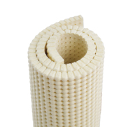 Feuille de mousse de silicone à cellules ouvertes, 10 pièces, plateau résistant aux hautes températures pour machine de pressage à la vapeur