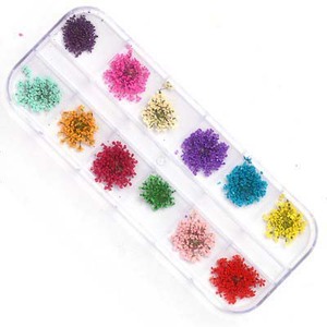 12 Color Lace Dry <b>Flower</b> Nail <b>Sticker</b> Large Dry <b>Flower</b> Box Nail Glitter Accessories Nail Art Product - Product Image 4